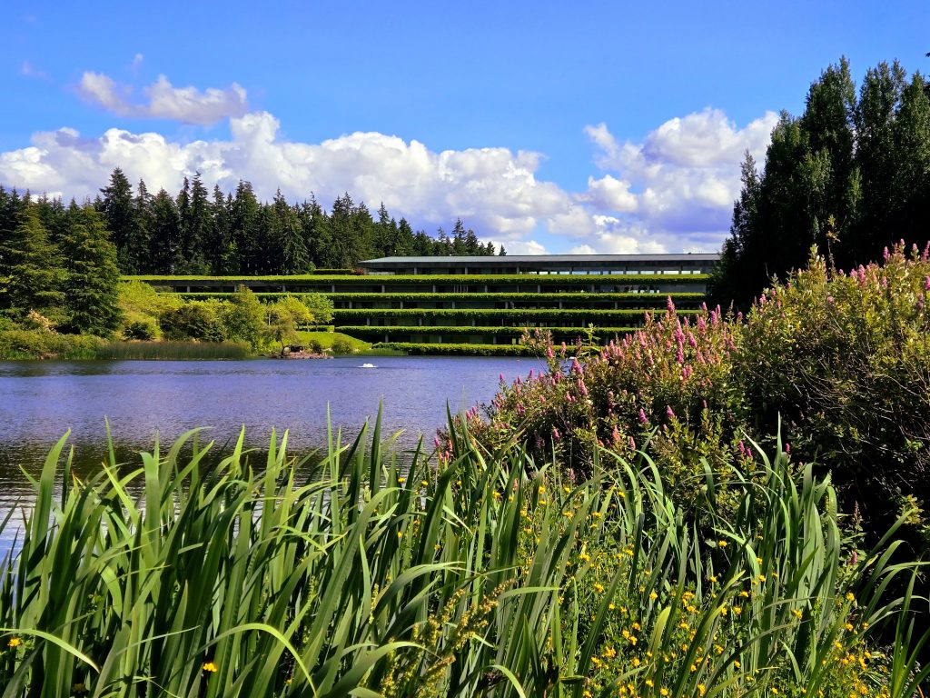 weyerhaeuser park